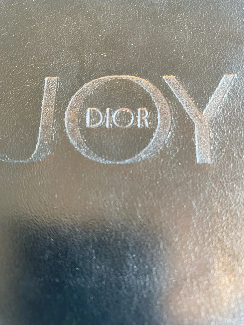 Dior Silver JOY Logo Round Pouch